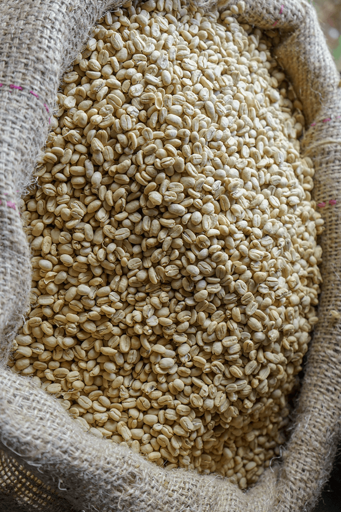 Barista Pouring Coffee